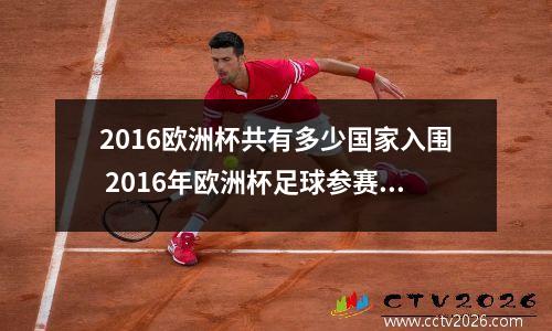 2016欧洲杯共有多少国家入围 2016年欧洲杯足球参赛的国家有那些