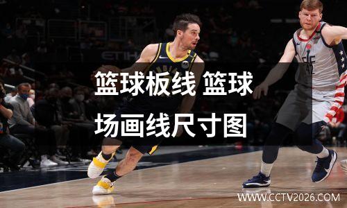 篮球板线 篮球场画线尺寸图