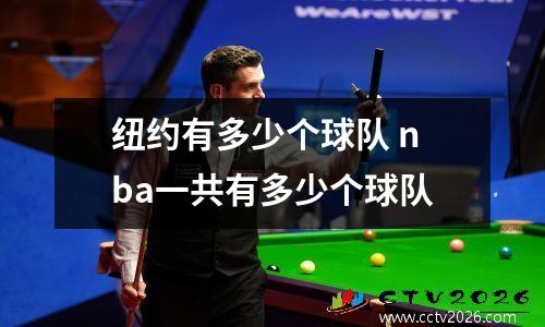 纽约有多少个球队 nba一共有多少个球队