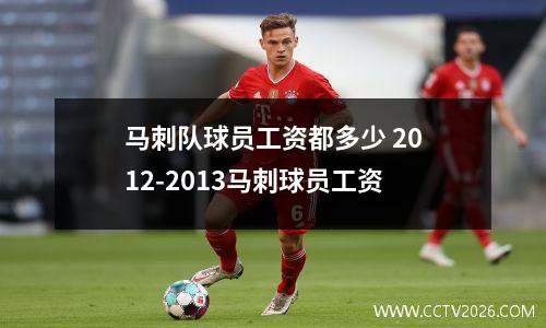 马刺队球员工资都多少 2012-2013马刺球员工资