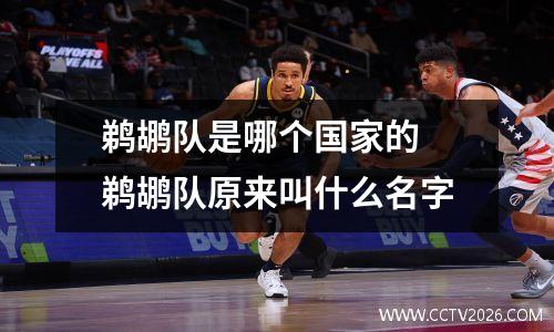 鹈鹕队是哪个国家的 鹈鹕队原来叫什么名字