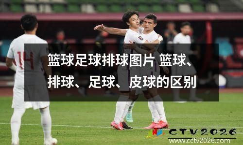 篮球足球排球图片 篮球、排球、足球、皮球的区别