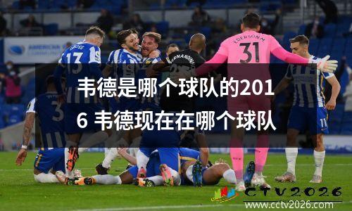 韦德是哪个球队的2016 韦德现在在哪个球队