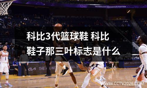 科比3代篮球鞋 科比鞋子那三叶标志是什么