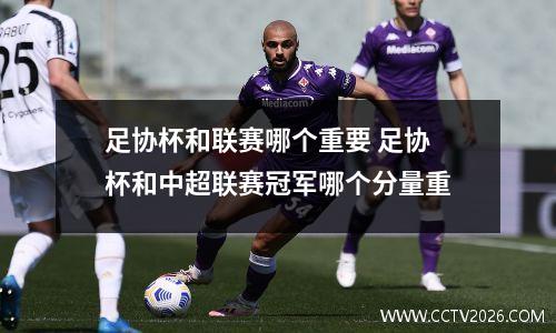 足协杯和联赛哪个重要 足协杯和中超联赛冠军哪个分量重