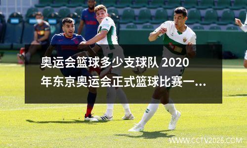 奥运会篮球多少支球队 2020年东京奥运会正式篮球比赛一共有多少个球队参加