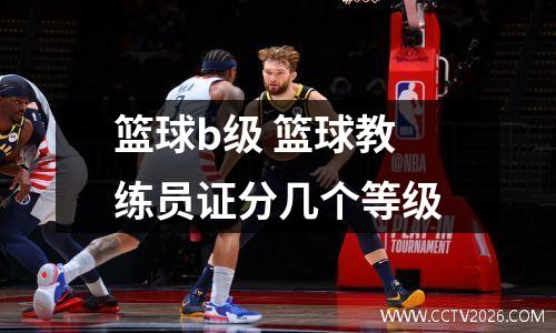 篮球b级 篮球教练员证分几个等级