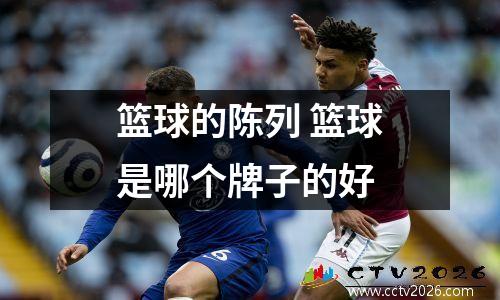 篮球的陈列 篮球是哪个牌子的好