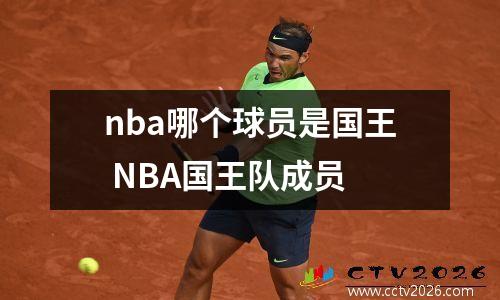 nba哪个球员是国王 NBA国王队成员