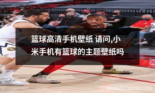 篮球高清手机壁纸 请问,小米手机有篮球的主题壁纸吗