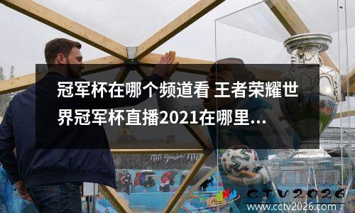 冠军杯在哪个频道看 王者荣耀世界冠军杯直播2021在哪里看