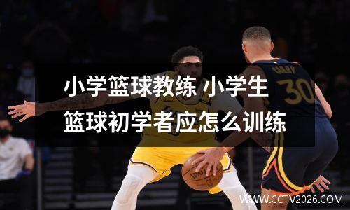 小学篮球教练 小学生篮球初学者应怎么训练