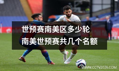 世预赛南美区多少轮 南美世预赛共几个名额