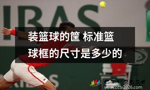装篮球的筐 标准篮球框的尺寸是多少的