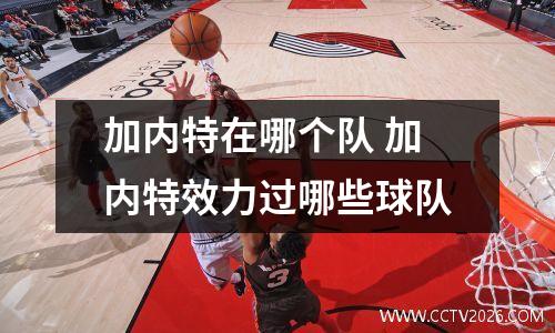 加内特在哪个队 加内特效力过哪些球队
