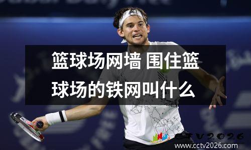 篮球场网墙 围住篮球场的铁网叫什么