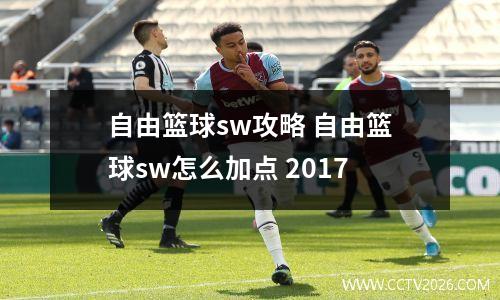 自由篮球sw攻略 自由篮球sw怎么加点 2017