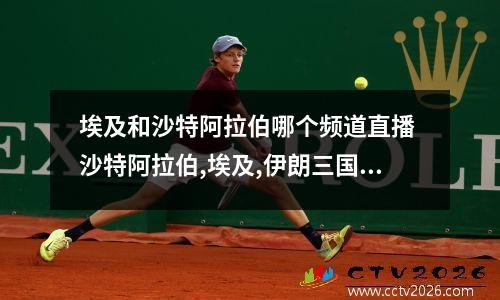 埃及和沙特阿拉伯哪个频道直播 沙特阿拉伯,埃及,伊朗三国都属于中东国家,对吗