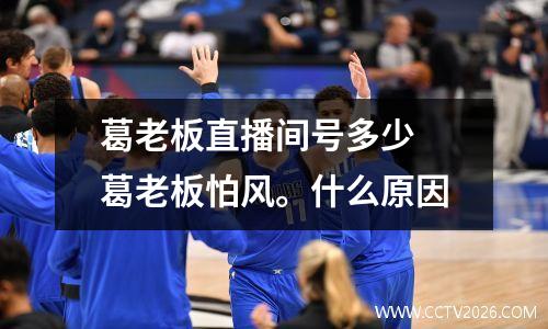 葛老板直播间号多少 葛老板怕风。什么原因