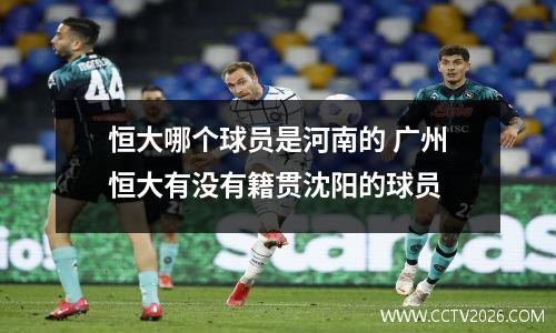 恒大哪个球员是河南的 广州恒大有没有籍贯沈阳的球员