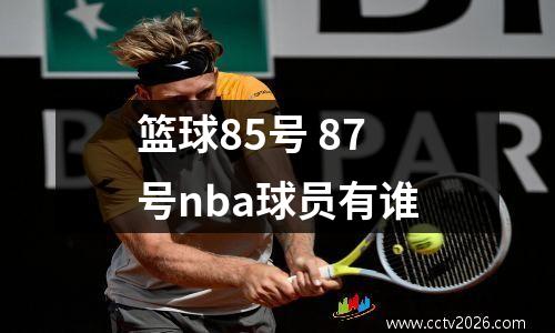 篮球85号 87号nba球员有谁