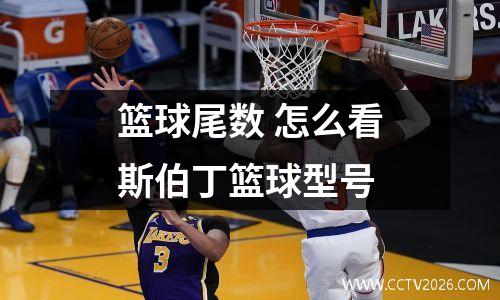 篮球尾数 怎么看斯伯丁篮球型号