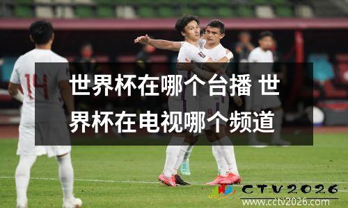 世界杯在哪个台播 世界杯在电视哪个频道