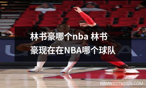 林书豪哪个nba 林书豪现在在NBA哪个球队