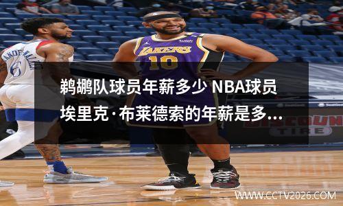 鹈鹕队球员年薪多少 NBA球员埃里克·布莱德索的年薪是多少
