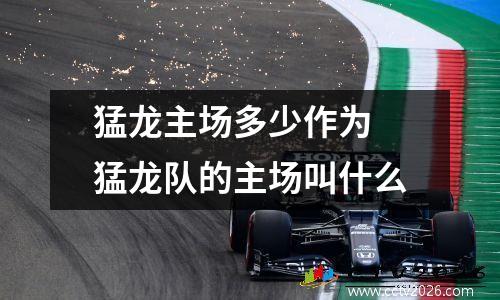 猛龙主场多少作为 猛龙队的主场叫什么