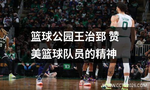 篮球公园王治郅 赞美篮球队员的精神
