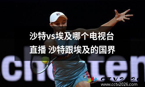 沙特vs埃及哪个电视台直播 沙特跟埃及的国界