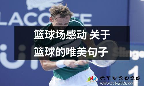 篮球场感动 关于篮球的唯美句子