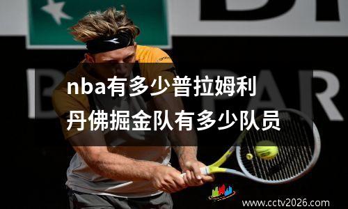 nba有多少普拉姆利 丹佛掘金队有多少队员