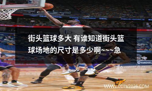 街头篮球多大 有谁知道街头篮球场地的尺寸是多少啊~~~急