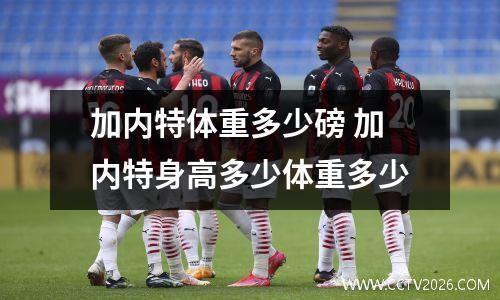 加内特体重多少磅 加内特身高多少体重多少