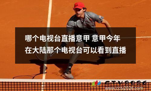 哪个电视台直播意甲 意甲今年在大陆那个电视台可以看到直播