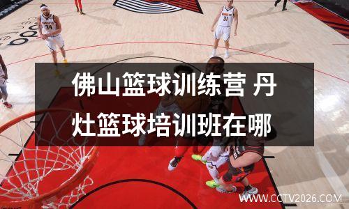 佛山篮球训练营 丹灶篮球培训班在哪