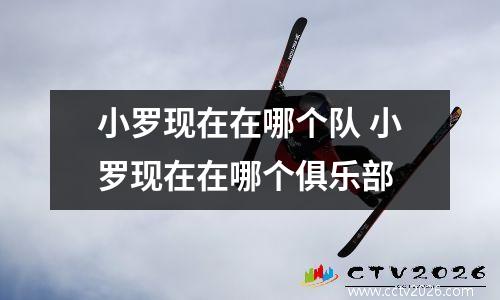 小罗现在在哪个队 小罗现在在哪个俱乐部