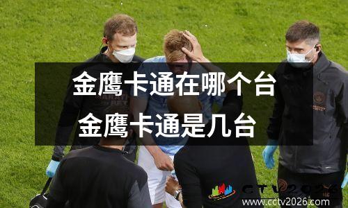金鹰卡通在哪个台 金鹰卡通是几台