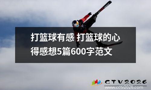 打篮球有感 打篮球的心得感想5篇600字范文
