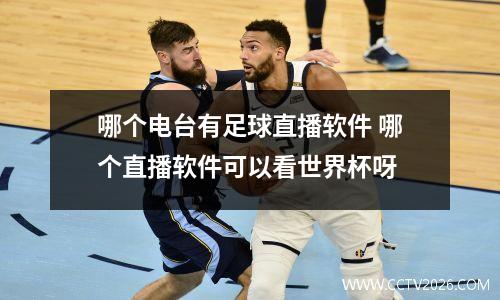 哪个电台有足球直播软件 哪个直播软件可以看世界杯呀
