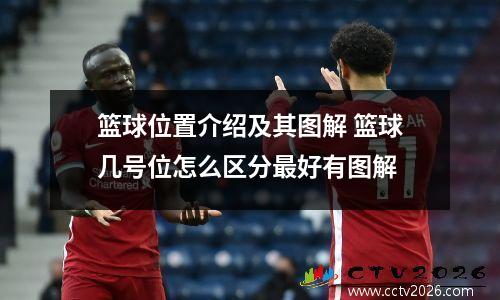 篮球位置介绍及其图解 篮球几号位怎么区分最好有图解