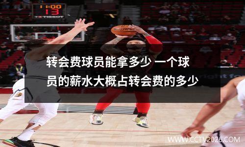 转会费球员能拿多少 一个球员的薪水大概占转会费的多少
