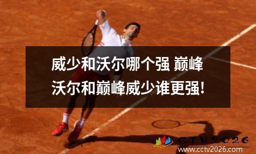 威少和沃尔哪个强 巅峰沃尔和巅峰威少谁更强!