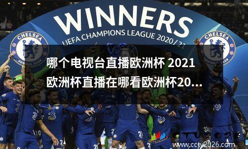 哪个电视台直播欧洲杯 2021欧洲杯直播在哪看欧洲杯2021直播平台汇总