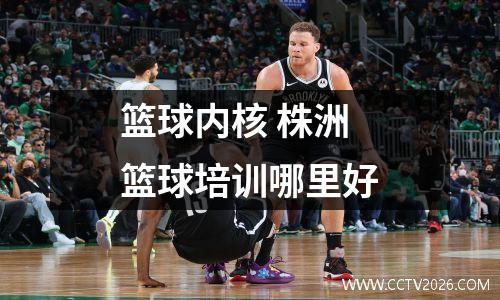 篮球内核 株洲篮球培训哪里好