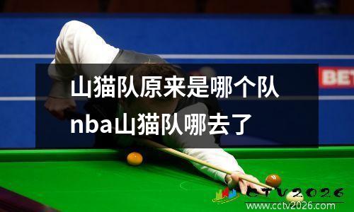 山猫队原来是哪个队 nba山猫队哪去了