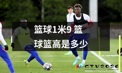 篮球1米9 篮球篮高是多少