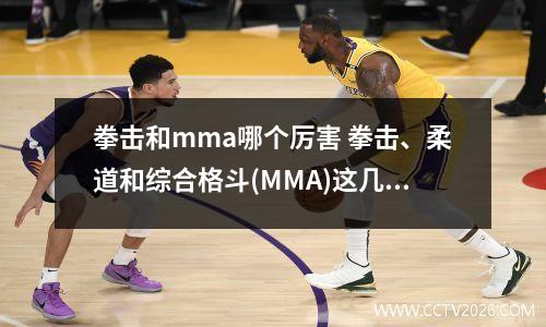 拳击和mma哪个厉害 拳击、柔道和综合格斗(MMA)这几个哪个更实用